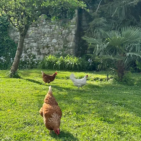 Bed & Breakfast Antico Fienile Gorizia